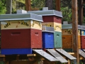 Fuchsfarm (3)